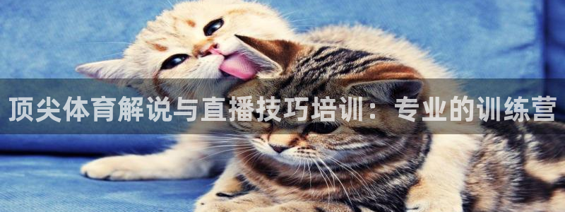 顶尖体育解说与直播技巧培训：专业的训练营