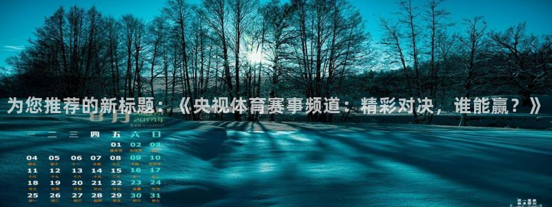 为您推荐的新标题：《央视体育赛事频道：精彩对决，谁能赢？》